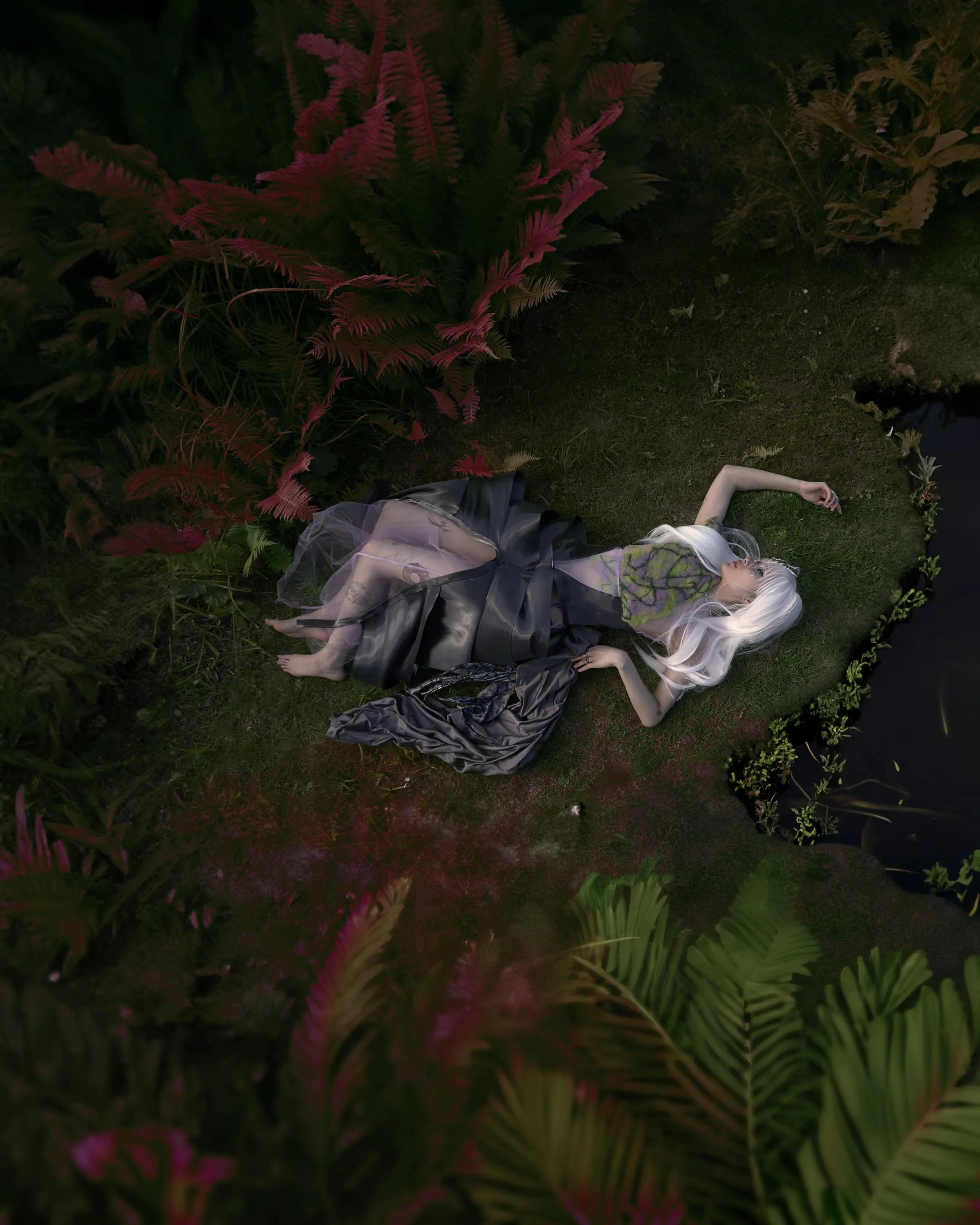 Cyber Forest cover image.